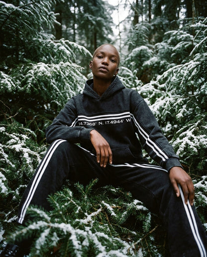 Renaissance Stripes Hoodie